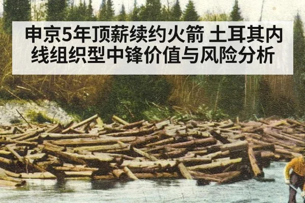 申京5年顶薪续约火箭 土耳其内线组织型中锋价值与风险分析